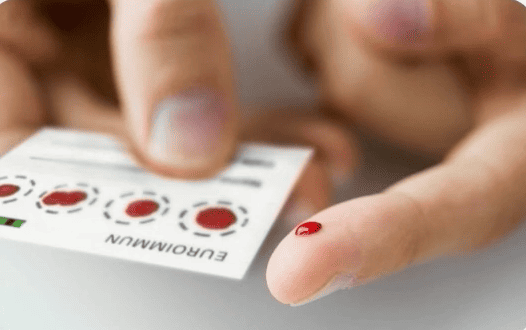 Curso completo: Programa +Evero